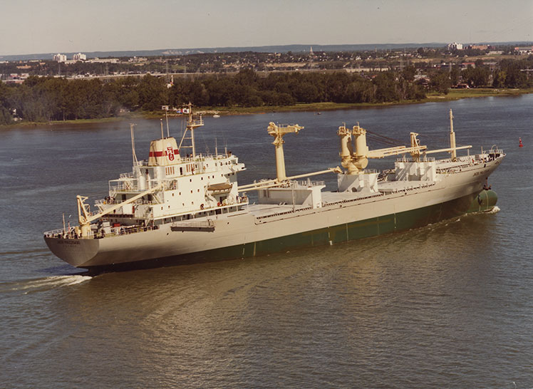 Un cargo naviguant sur le fleuve.